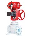 AM450 SERIES CAGE GUIDED DOUBLE SEAT CONTROL VALVES